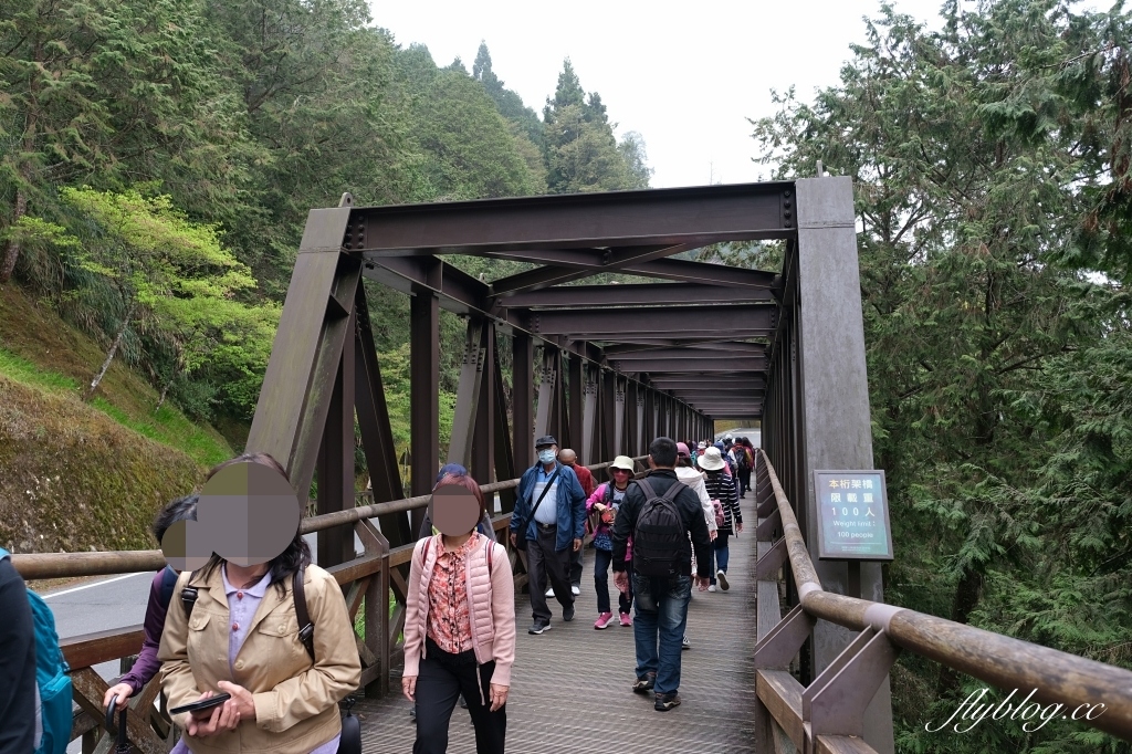 嘉義景點｜阿里山森林遊樂區，2023阿里山櫻花季起跑！阿里山一日遊，搭乘森林小火車，交通路線一次看 @飛天璇的口袋