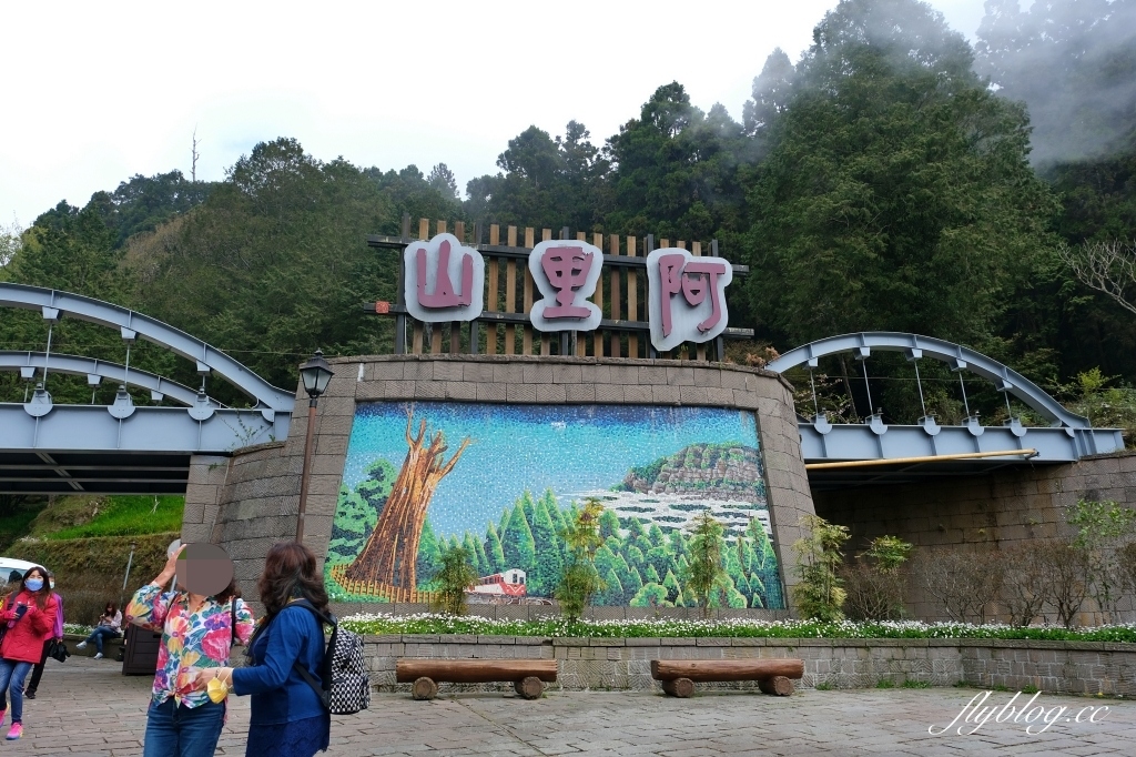 嘉義景點｜阿里山森林遊樂區，2023阿里山櫻花季起跑！阿里山一日遊，搭乘森林小火車，交通路線一次看 @飛天璇的口袋