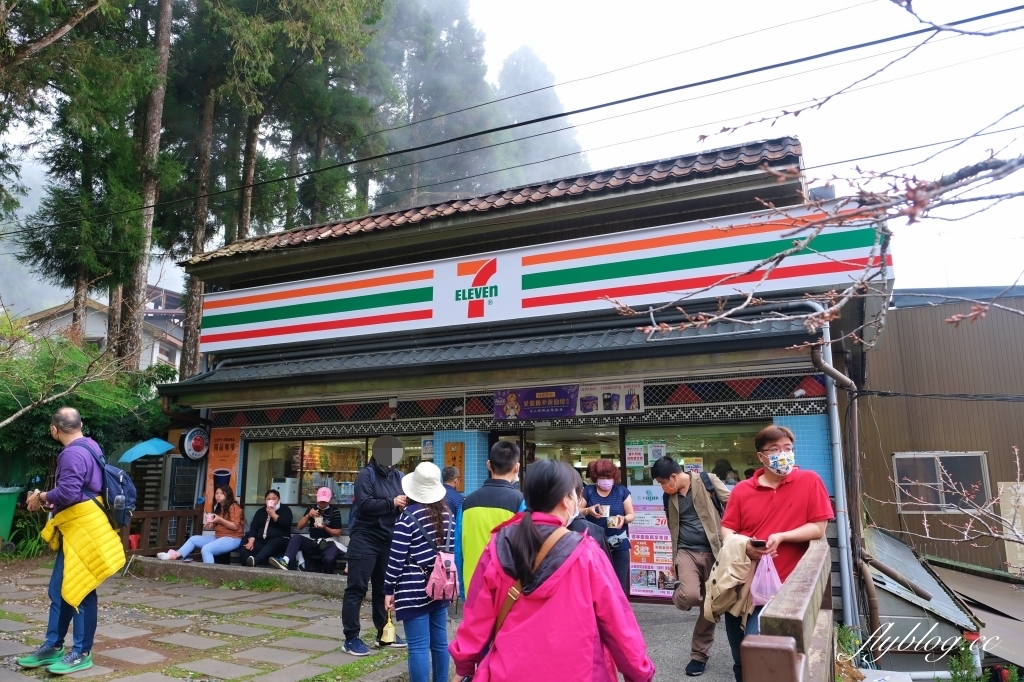 嘉義景點｜阿里山森林遊樂區，2023阿里山櫻花季起跑！阿里山一日遊，搭乘森林小火車，交通路線一次看 @飛天璇的口袋