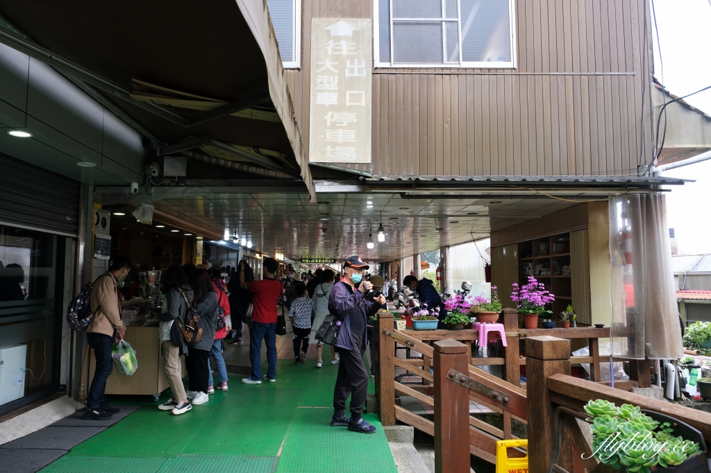 嘉義景點｜阿里山森林遊樂區，2023阿里山櫻花季起跑！阿里山一日遊，搭乘森林小火車，交通路線一次看 @飛天璇的口袋