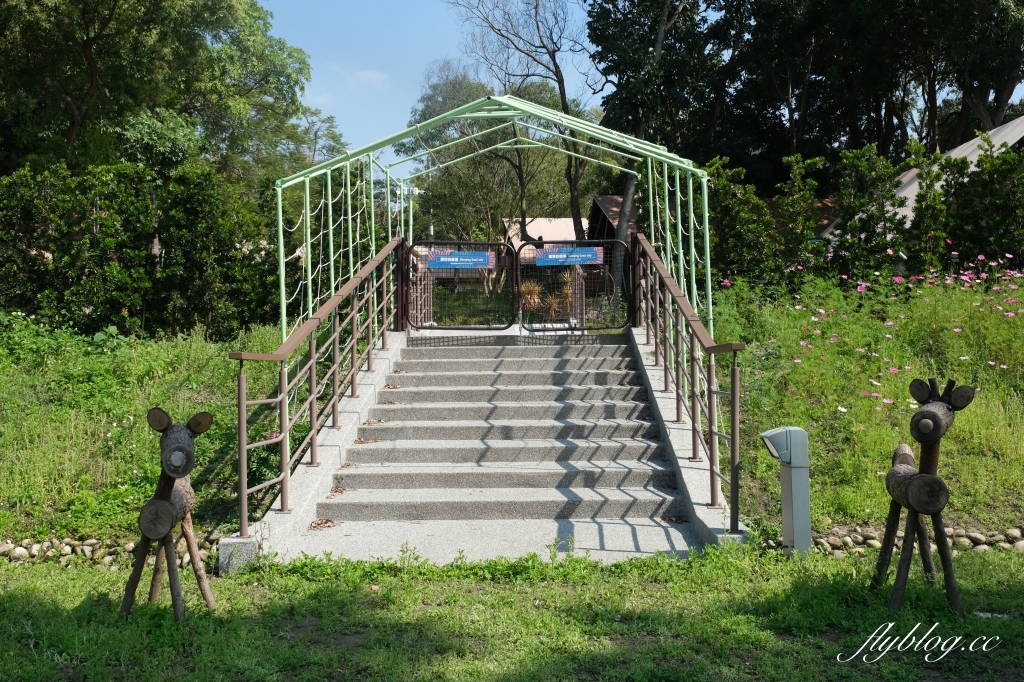 彰化社頭｜清水那方．全台首創的溫泉Spa豪華露營，溜滑梯、沙坑、泡腳池、體適能區 @飛天璇的口袋