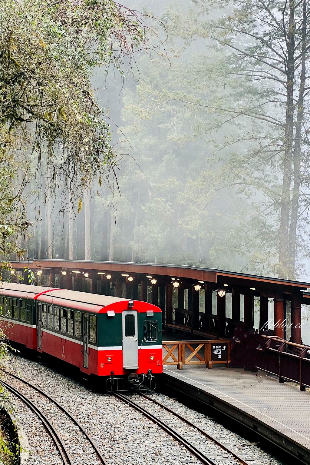 嘉義景點｜阿里山森林遊樂區，2023阿里山櫻花季起跑！阿里山一日遊，搭乘森林小火車，交通路線一次看 @飛天璇的口袋