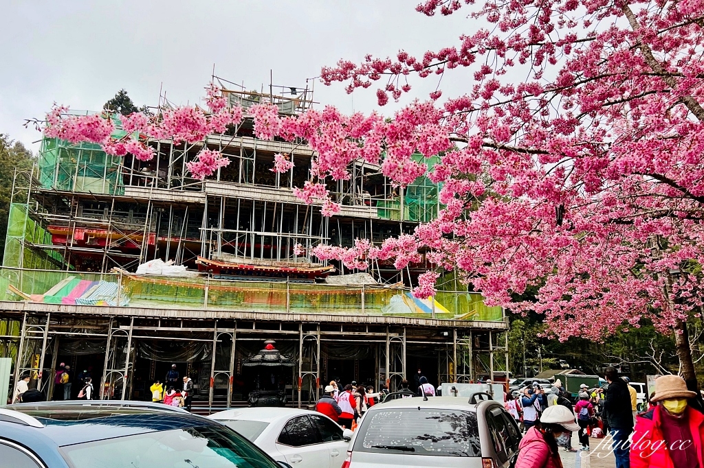 嘉義景點｜阿里山森林遊樂區，2023阿里山櫻花季起跑！阿里山一日遊，搭乘森林小火車，交通路線一次看 @飛天璇的口袋