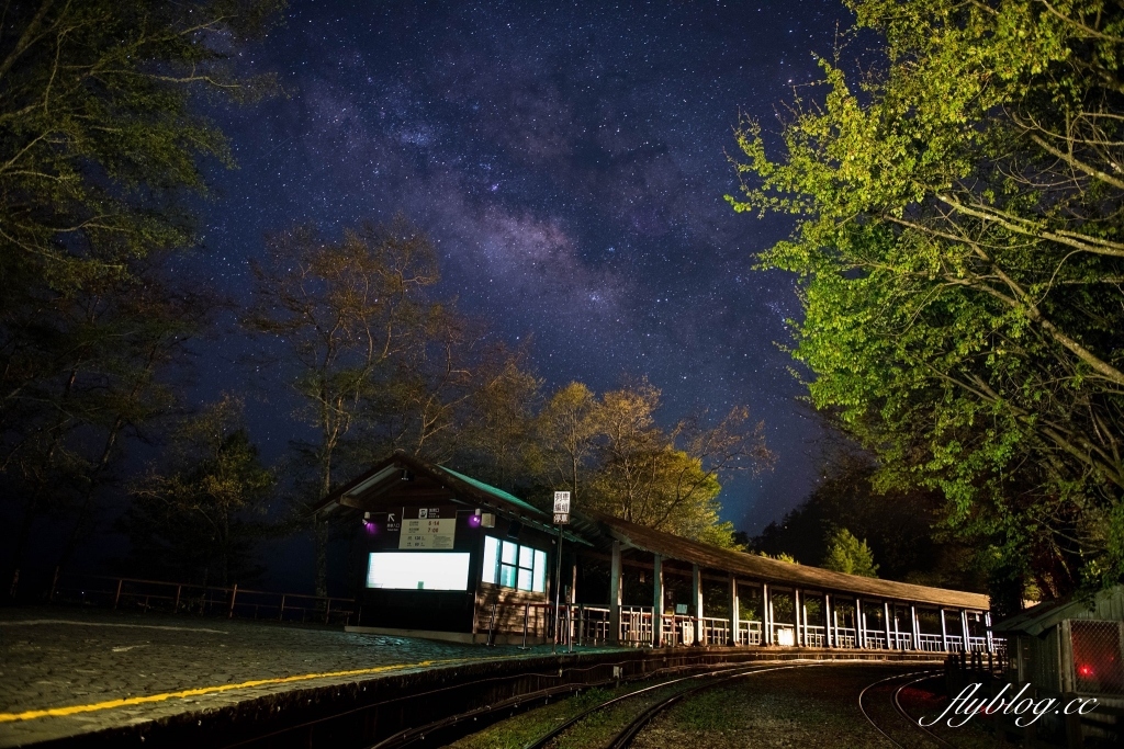 嘉義景點｜阿里山森林遊樂區，2023阿里山櫻花季起跑！阿里山一日遊，搭乘森林小火車，交通路線一次看 @飛天璇的口袋
