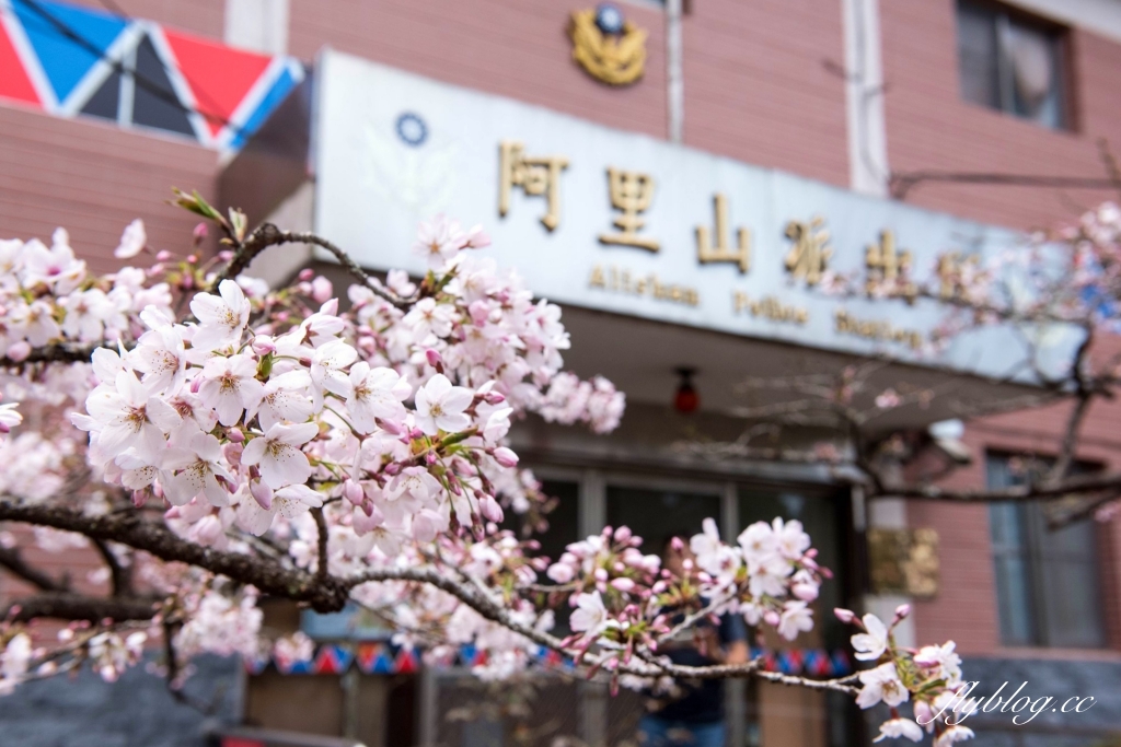 嘉義旅遊｜2024嘉義旅遊景點．嘉義40+景點推薦，嘉義一日遊行程推薦 @飛天璇的口袋