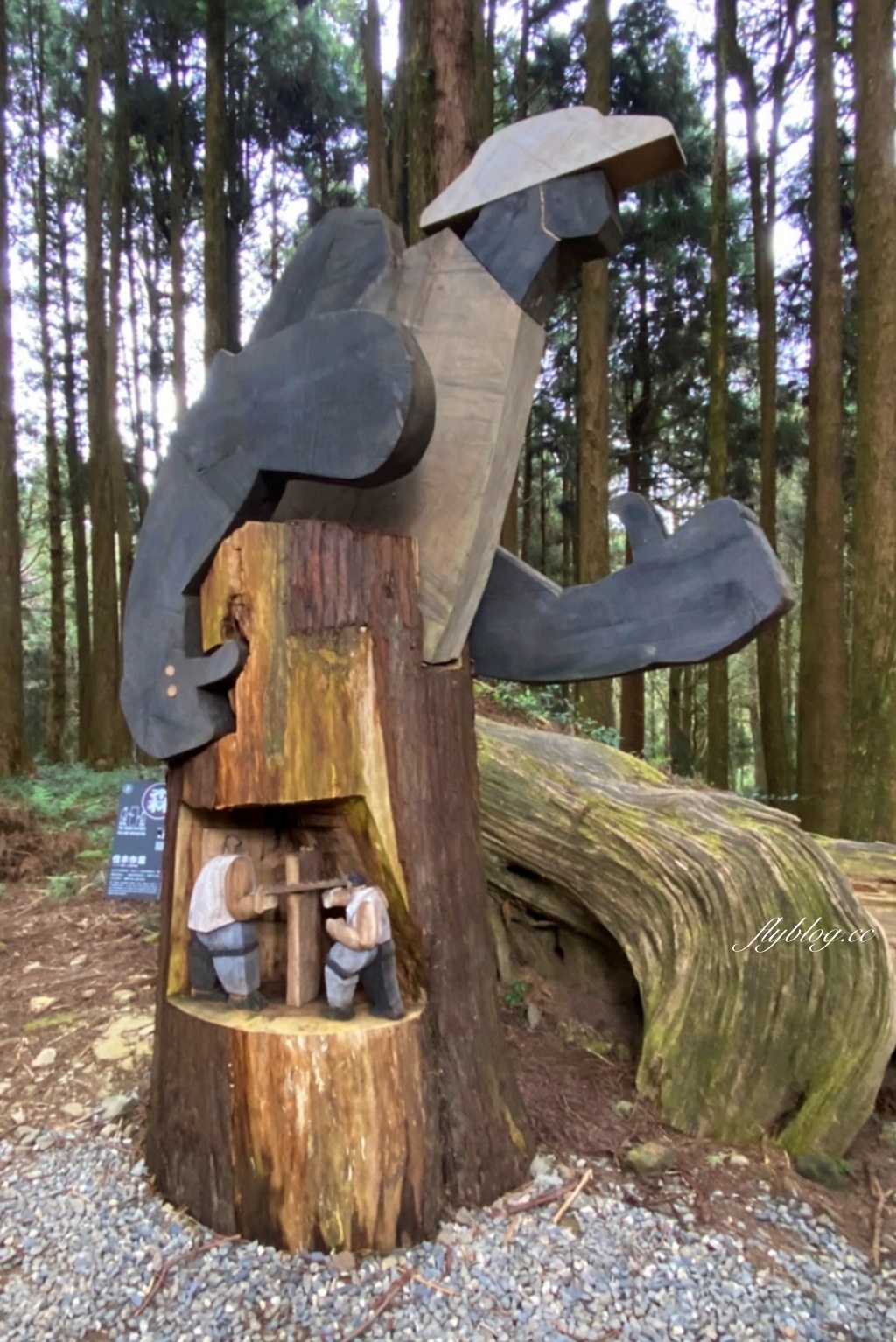 嘉義景點｜阿里山森林遊樂區，2023阿里山櫻花季起跑！阿里山一日遊，搭乘森林小火車，交通路線一次看 @飛天璇的口袋