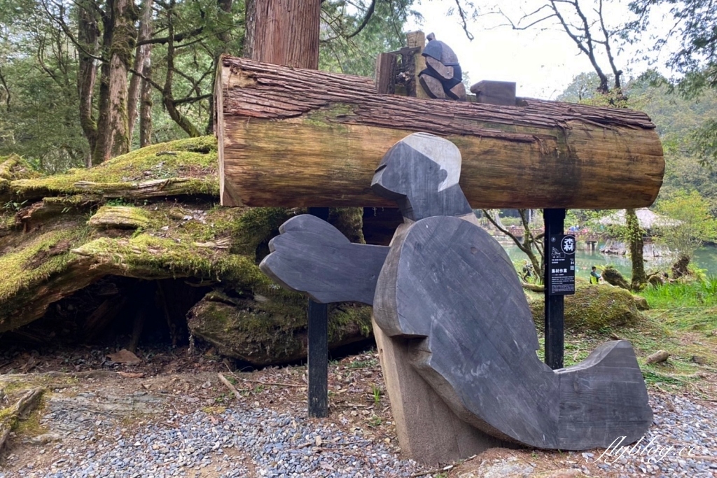 嘉義景點｜阿里山森林遊樂區，2023阿里山櫻花季起跑！阿里山一日遊，搭乘森林小火車，交通路線一次看 @飛天璇的口袋