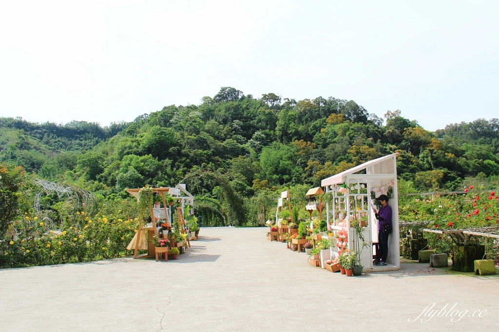 雅聞七里香玫瑰森林|免門票,全台最大玫瑰森林,坐擁浪漫自然景觀 @飛天璇的口袋 雅聞七里香玫瑰森林|免門票,全台最大玫瑰森林,坐擁浪漫自然景觀 @飛天璇的口袋