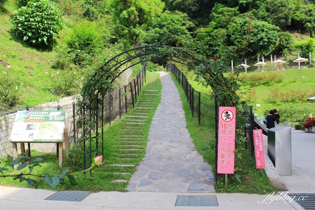 雅聞七里香玫瑰森林｜免門票，全台最大玫瑰森林，坐擁浪漫自然景觀 @飛天璇的口袋