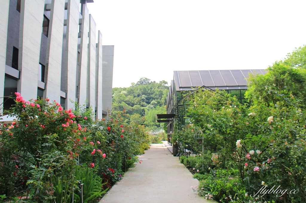 雅聞七里香玫瑰森林|免門票,全台最大玫瑰森林,坐擁浪漫自然景觀 @飛天璇的口袋 雅聞七里香玫瑰森林|免門票,全台最大玫瑰森林,坐擁浪漫自然景觀 @飛天璇的口袋