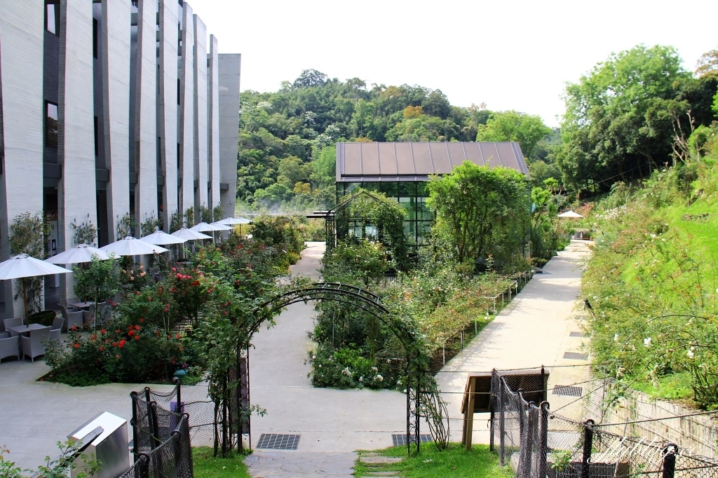 雅聞七里香玫瑰森林｜免門票，全台最大玫瑰森林，坐擁浪漫自然景觀 @飛天璇的口袋