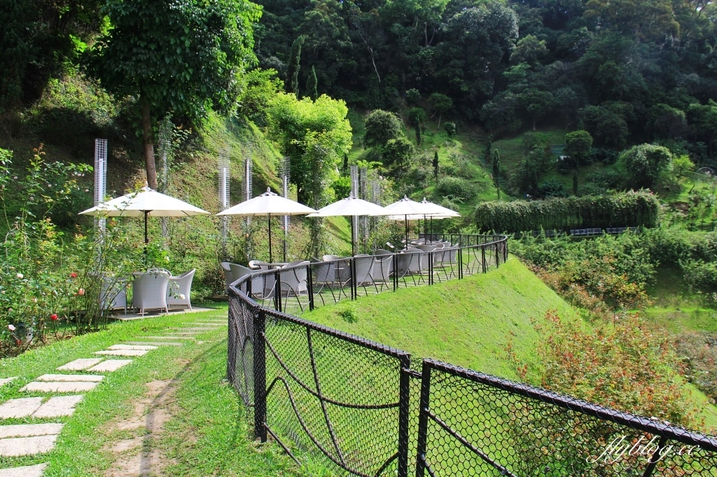 雅聞七里香玫瑰森林｜免門票，全台最大玫瑰森林，坐擁浪漫自然景觀 @飛天璇的口袋