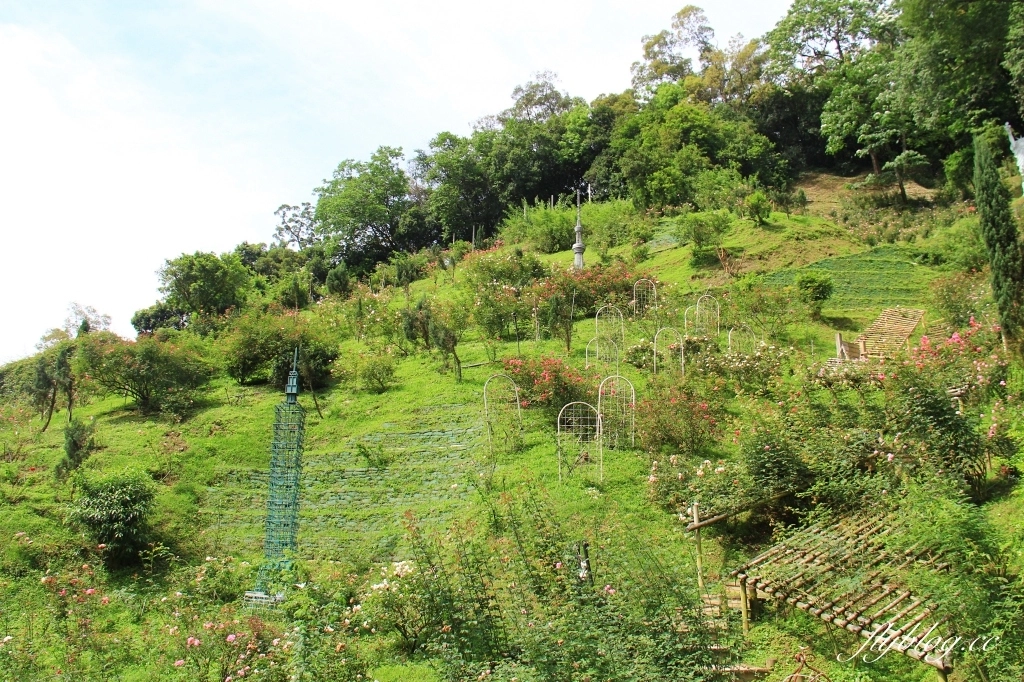 雅聞七里香玫瑰森林｜免門票，全台最大玫瑰森林，坐擁浪漫自然景觀 @飛天璇的口袋