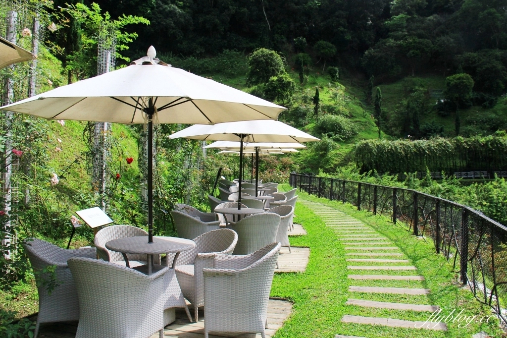 雅聞七里香玫瑰森林｜免門票，全台最大玫瑰森林，坐擁浪漫自然景觀 @飛天璇的口袋