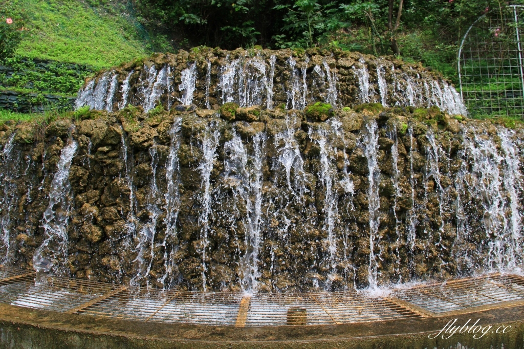 雅聞七里香玫瑰森林|免門票,全台最大玫瑰森林,坐擁浪漫自然景觀 @飛天璇的口袋 雅聞七里香玫瑰森林|免門票,全台最大玫瑰森林,坐擁浪漫自然景觀 @飛天璇的口袋