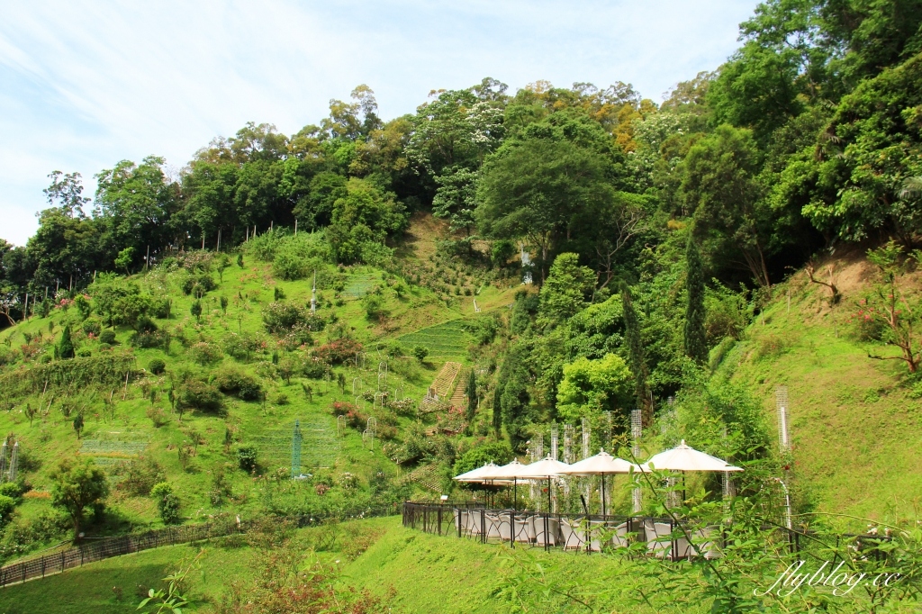 雅聞七里香玫瑰森林｜免門票，全台最大玫瑰森林，坐擁浪漫自然景觀 @飛天璇的口袋