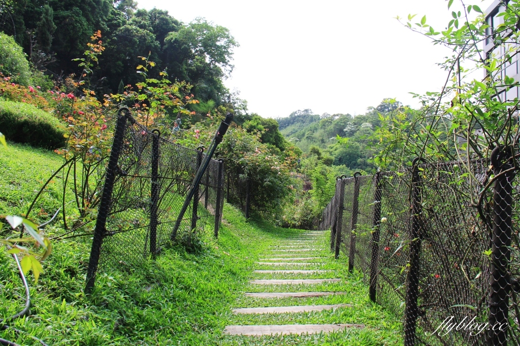 雅聞七里香玫瑰森林｜免門票，全台最大玫瑰森林，坐擁浪漫自然景觀 @飛天璇的口袋