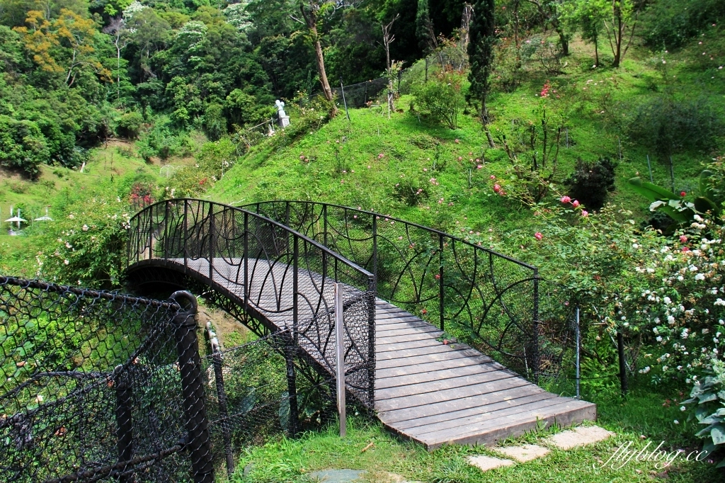 雅聞七里香玫瑰森林|免門票,全台最大玫瑰森林,坐擁浪漫自然景觀 @飛天璇的口袋 雅聞七里香玫瑰森林|免門票,全台最大玫瑰森林,坐擁浪漫自然景觀 @飛天璇的口袋
