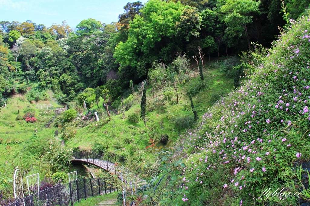 雅聞七里香玫瑰森林|免門票,全台最大玫瑰森林,坐擁浪漫自然景觀 @飛天璇的口袋 雅聞七里香玫瑰森林|免門票,全台最大玫瑰森林,坐擁浪漫自然景觀 @飛天璇的口袋
