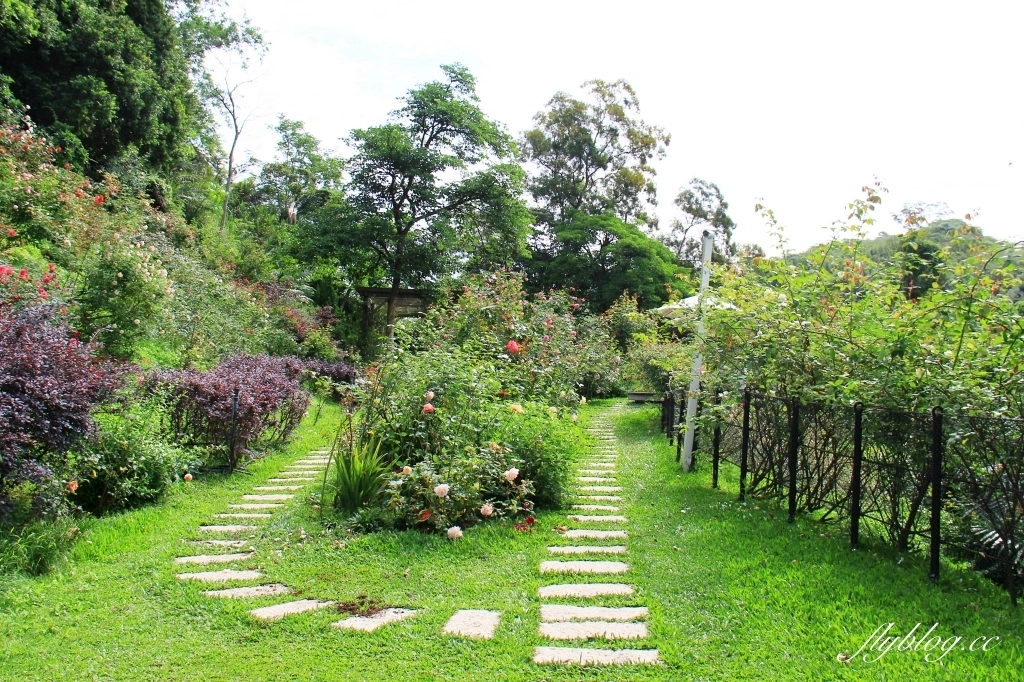 雅聞七里香玫瑰森林｜免門票，全台最大玫瑰森林，坐擁浪漫自然景觀 @飛天璇的口袋