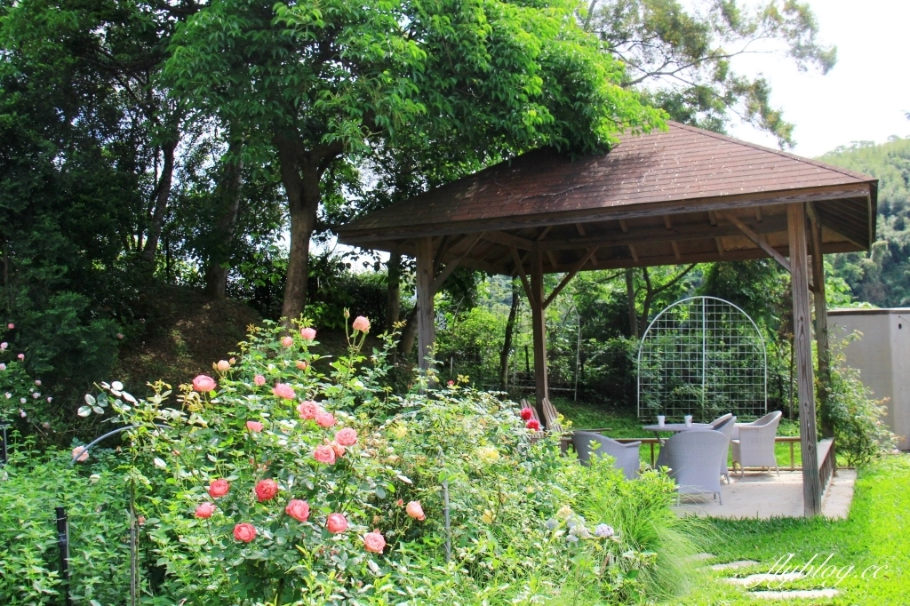 雅聞七里香玫瑰森林｜免門票，全台最大玫瑰森林，坐擁浪漫自然景觀 @飛天璇的口袋