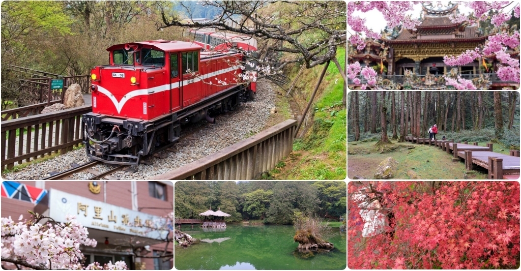 嘉義景點｜阿里山森林遊樂區，2023阿里山櫻花季起跑！阿里山一日遊，搭乘森林小火車，交通路線一次看 @飛天璇的口袋