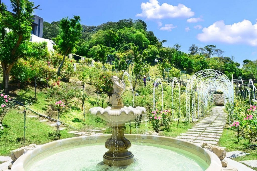 雅聞七里香玫瑰森林|免門票,全台最大玫瑰森林,坐擁浪漫自然景觀 @飛天璇的口袋 雅聞七里香玫瑰森林|免門票,全台最大玫瑰森林,坐擁浪漫自然景觀 @飛天璇的口袋
