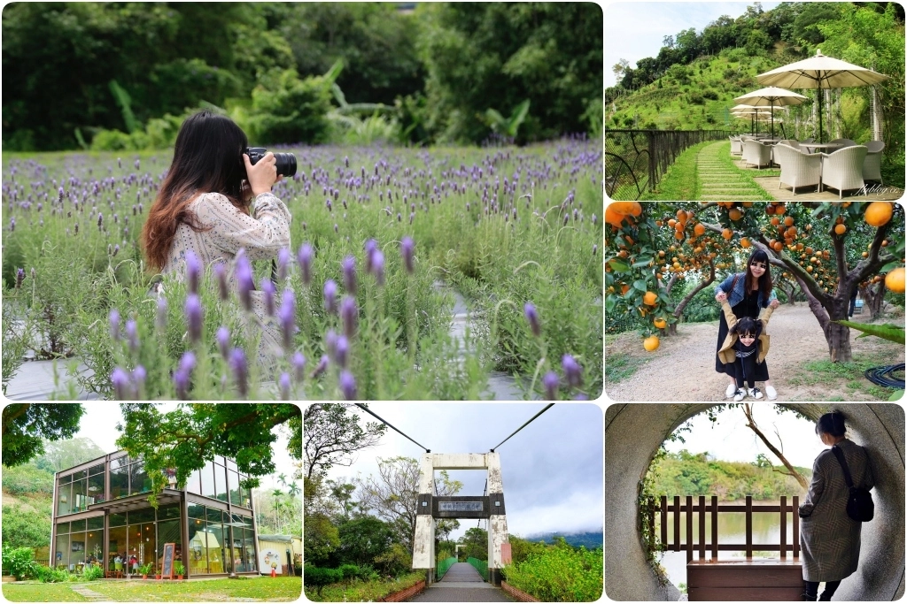 苗栗頭屋｜橙香森林．森林裡面的浪漫玻璃屋，有大片草原和橙香隧道 @飛天璇的口袋