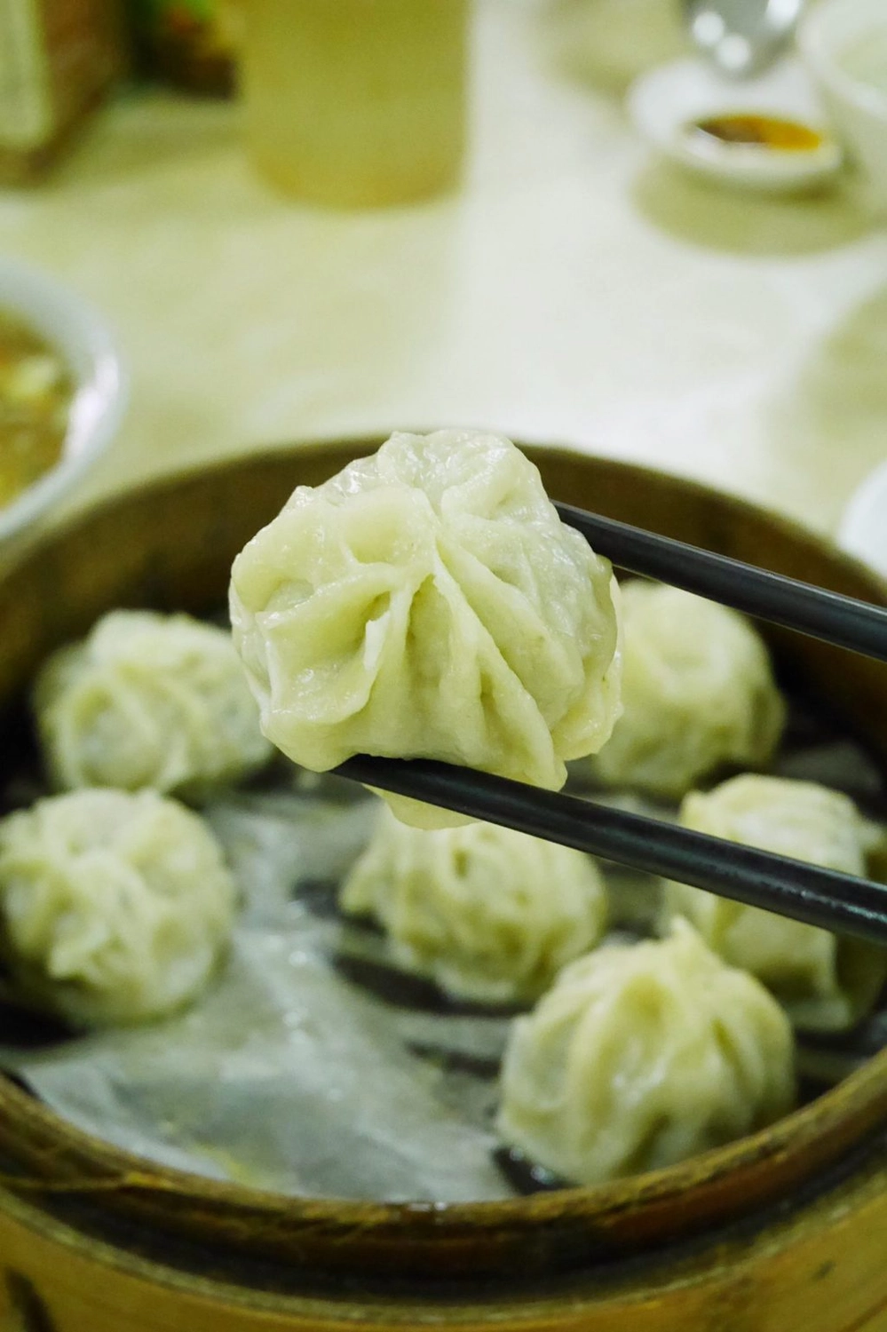 老邵小籠包｜西螺菜市場「老邵小籠包」，被小籠包耽誤的滷味店 @飛天璇的口袋