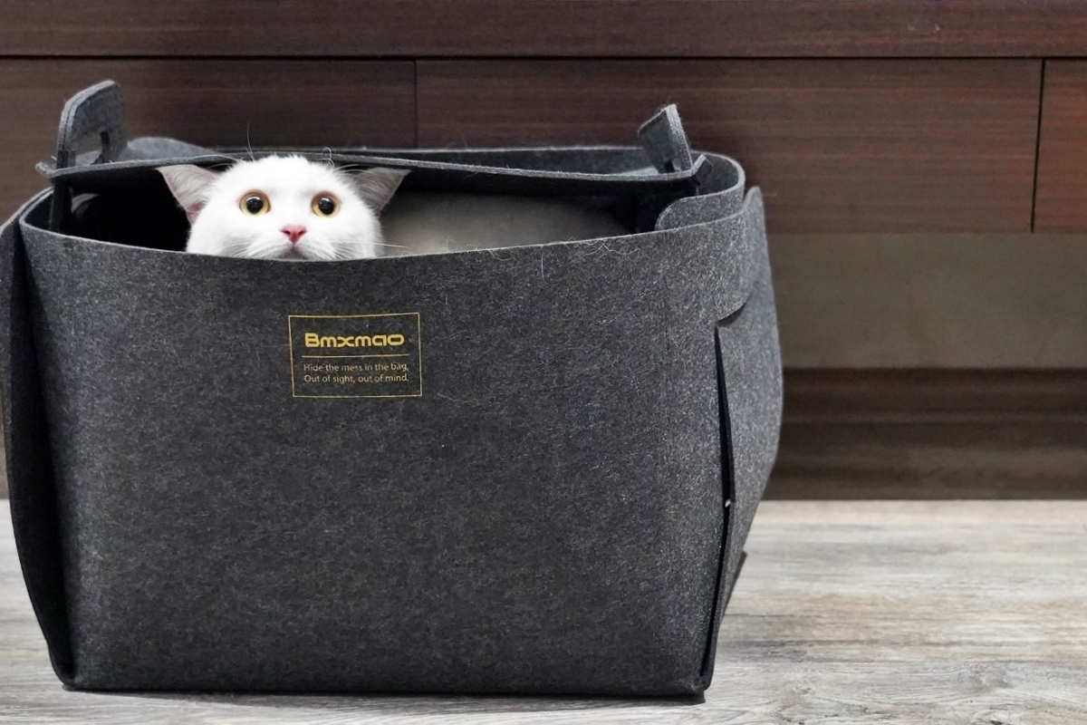 【家電開箱】MAO Clean M7電動濕拖無線除蟎吸塵器 CP值又平價的美型吸塵器 搭配豪華16配件組 一次搞定吸塵＋濕拖 @飛天璇的口袋