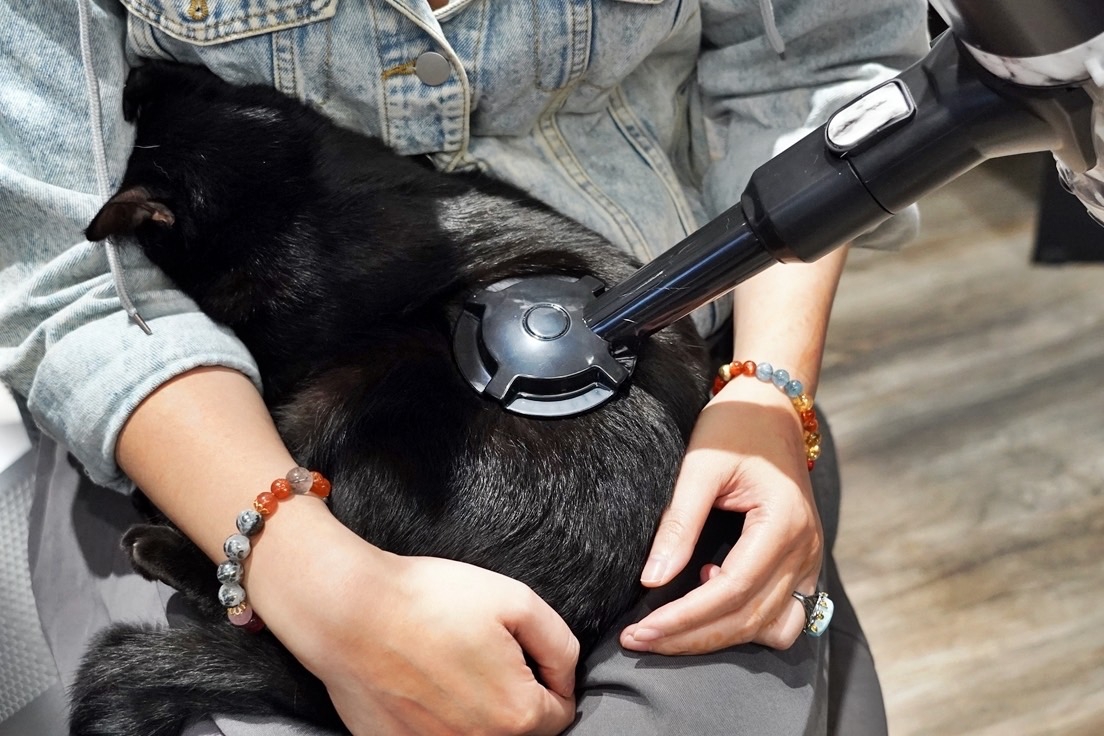 【家電開箱】MAO Clean M7電動濕拖無線除蟎吸塵器 CP值又平價的美型吸塵器 搭配豪華16配件組 一次搞定吸塵＋濕拖 @飛天璇的口袋