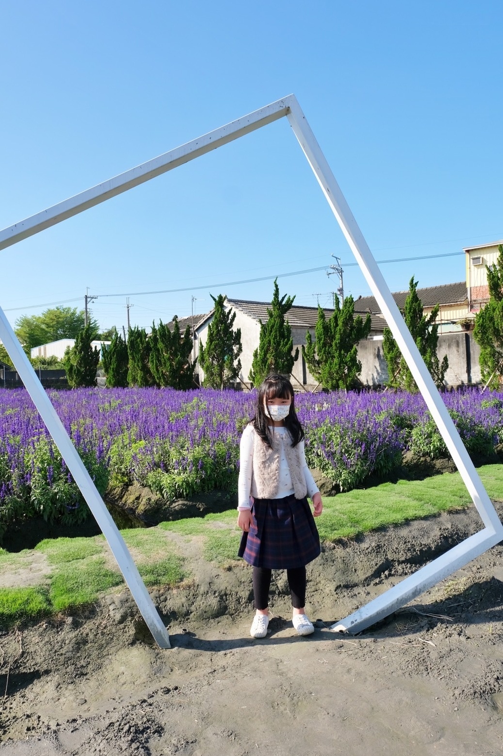 彰化田尾｜董家花園，充滿四季繽紛色彩的花田，田尾親子野餐郊遊好去處 @飛天璇的口袋