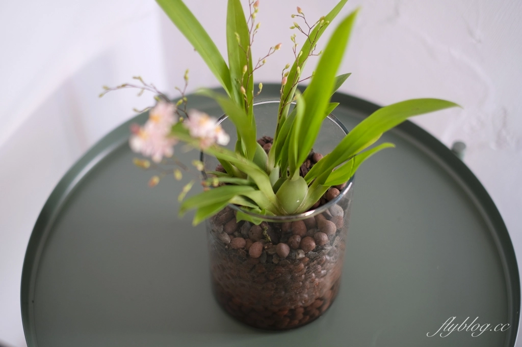 台中東勢｜KUMOKURU 手製甜點專門店．隱身東勢半山腰的甜點店，一個禮拜只有營業兩天 @飛天璇的口袋