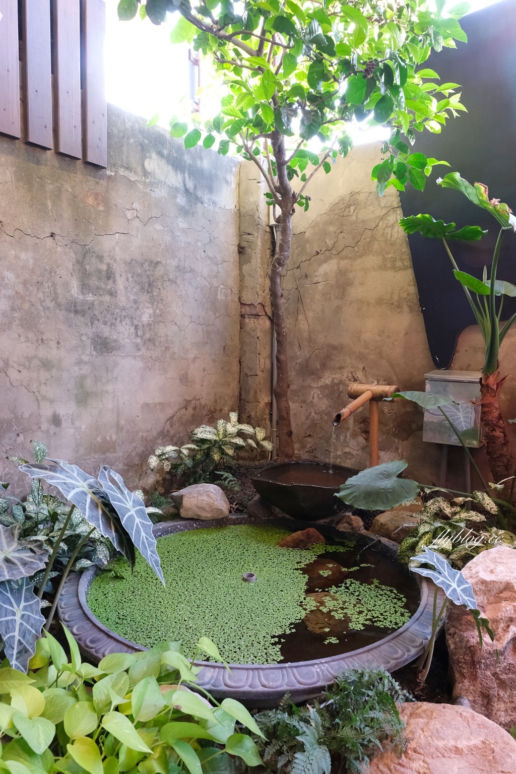 台南安平｜河童町，昭和復古風情的台南景點，享受散步在日式街道的氛圍 @飛天璇的口袋