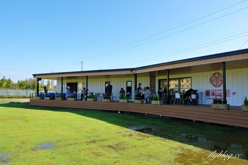 彰化田尾｜董家花園，充滿四季繽紛色彩的花田，田尾親子野餐郊遊好去處 @飛天璇的口袋