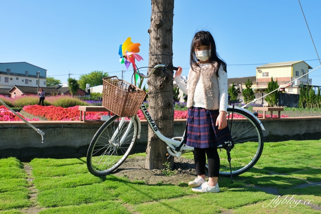 彰化田尾｜董家花園，充滿四季繽紛色彩的花田，田尾親子野餐郊遊好去處 @飛天璇的口袋