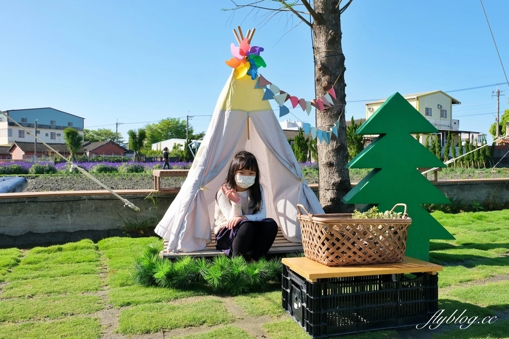 彰化田尾｜董家花園，充滿四季繽紛色彩的花田，田尾親子野餐郊遊好去處 @飛天璇的口袋