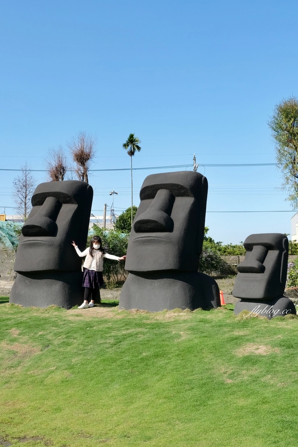 彰化田尾｜董家花園，充滿四季繽紛色彩的花田，田尾親子野餐郊遊好去處 @飛天璇的口袋