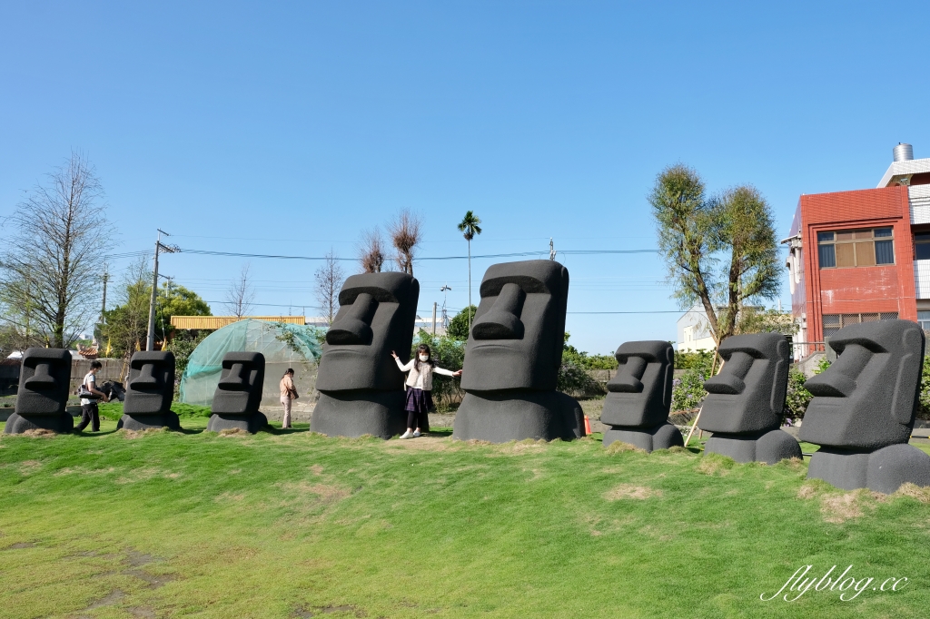 彰化田尾｜董家花園，充滿四季繽紛色彩的花田，田尾親子野餐郊遊好去處 @飛天璇的口袋