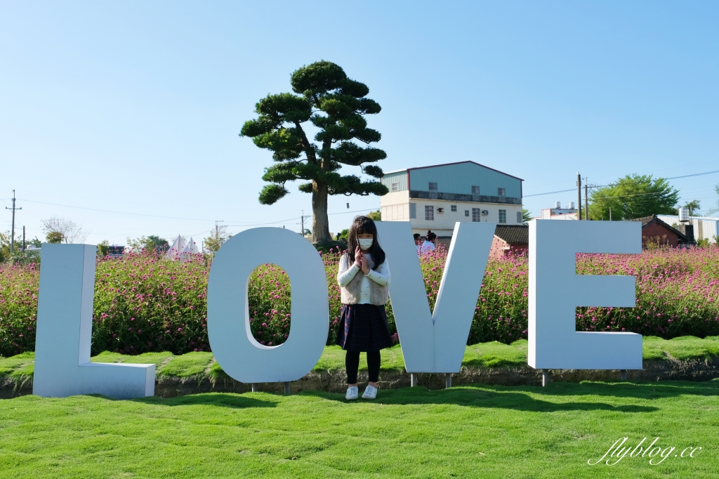 彰化田尾｜董家花園，充滿四季繽紛色彩的花田，田尾親子野餐郊遊好去處 @飛天璇的口袋