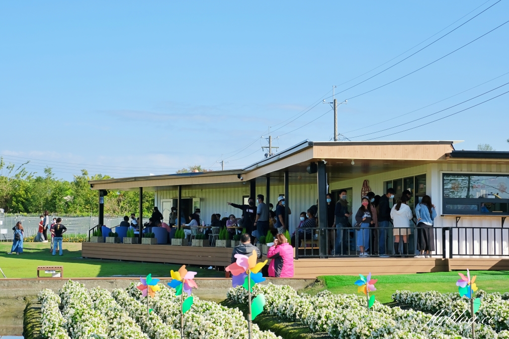彰化田尾｜董家花園，充滿四季繽紛色彩的花田，田尾親子野餐郊遊好去處 @飛天璇的口袋