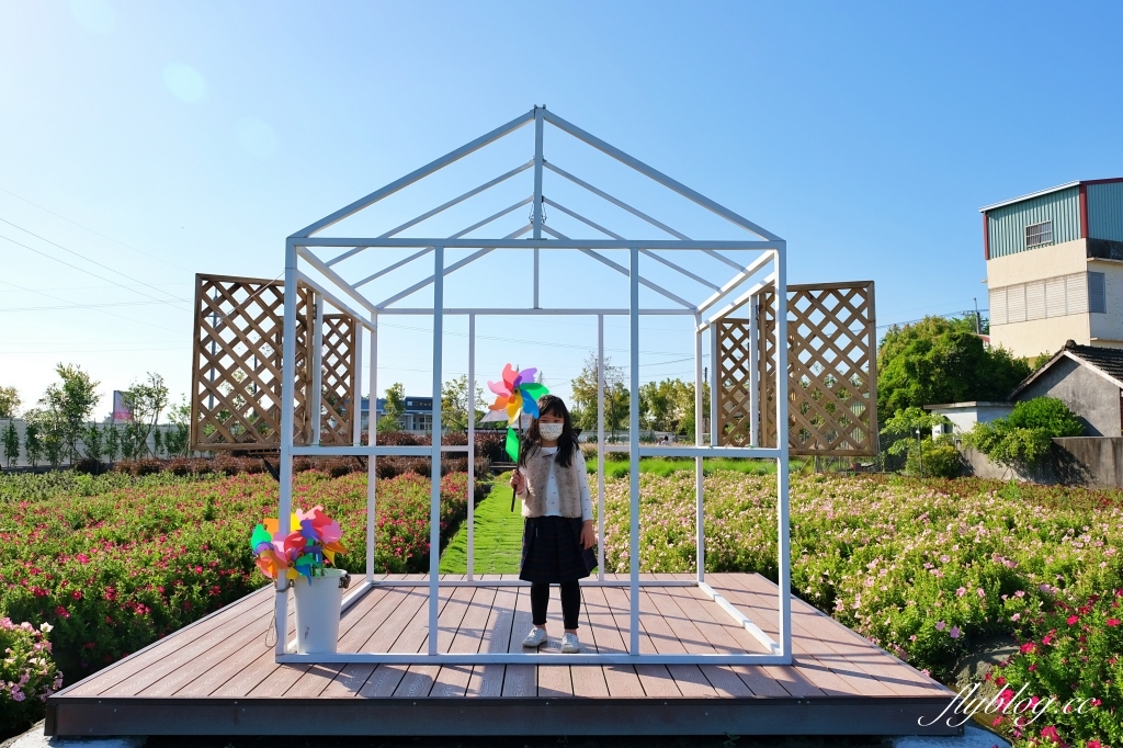 彰化田尾｜董家花園，充滿四季繽紛色彩的花田，田尾親子野餐郊遊好去處 @飛天璇的口袋