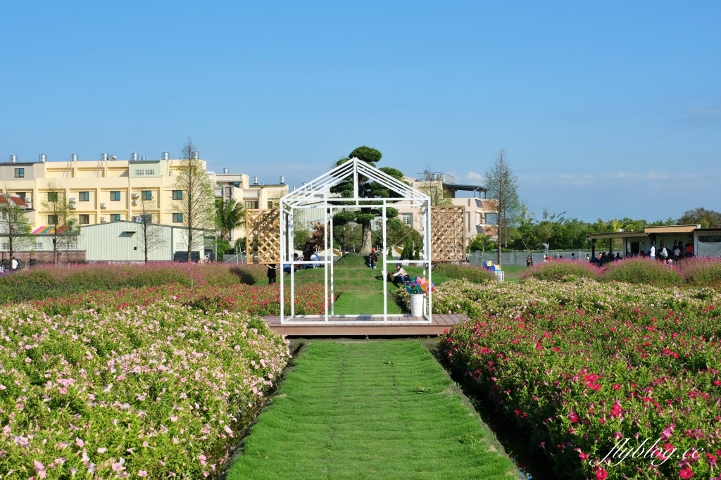 彰化田尾｜董家花園，充滿四季繽紛色彩的花田，田尾親子野餐郊遊好去處 @飛天璇的口袋