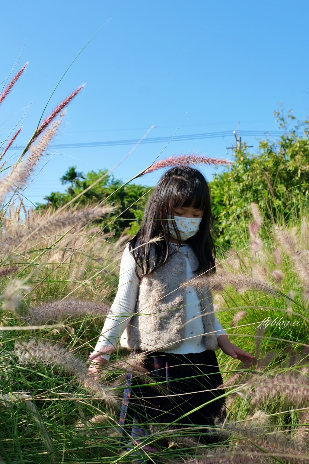 彰化田尾｜董家花園，充滿四季繽紛色彩的花田，田尾親子野餐郊遊好去處 @飛天璇的口袋