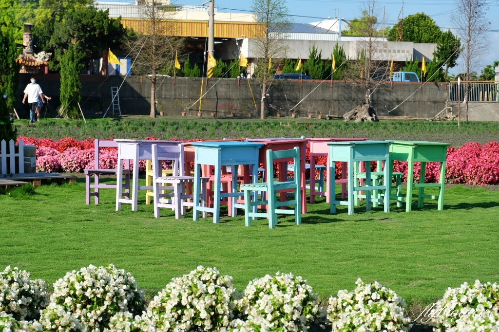 彰化田尾｜董家花園，充滿四季繽紛色彩的花田，田尾親子野餐郊遊好去處 @飛天璇的口袋