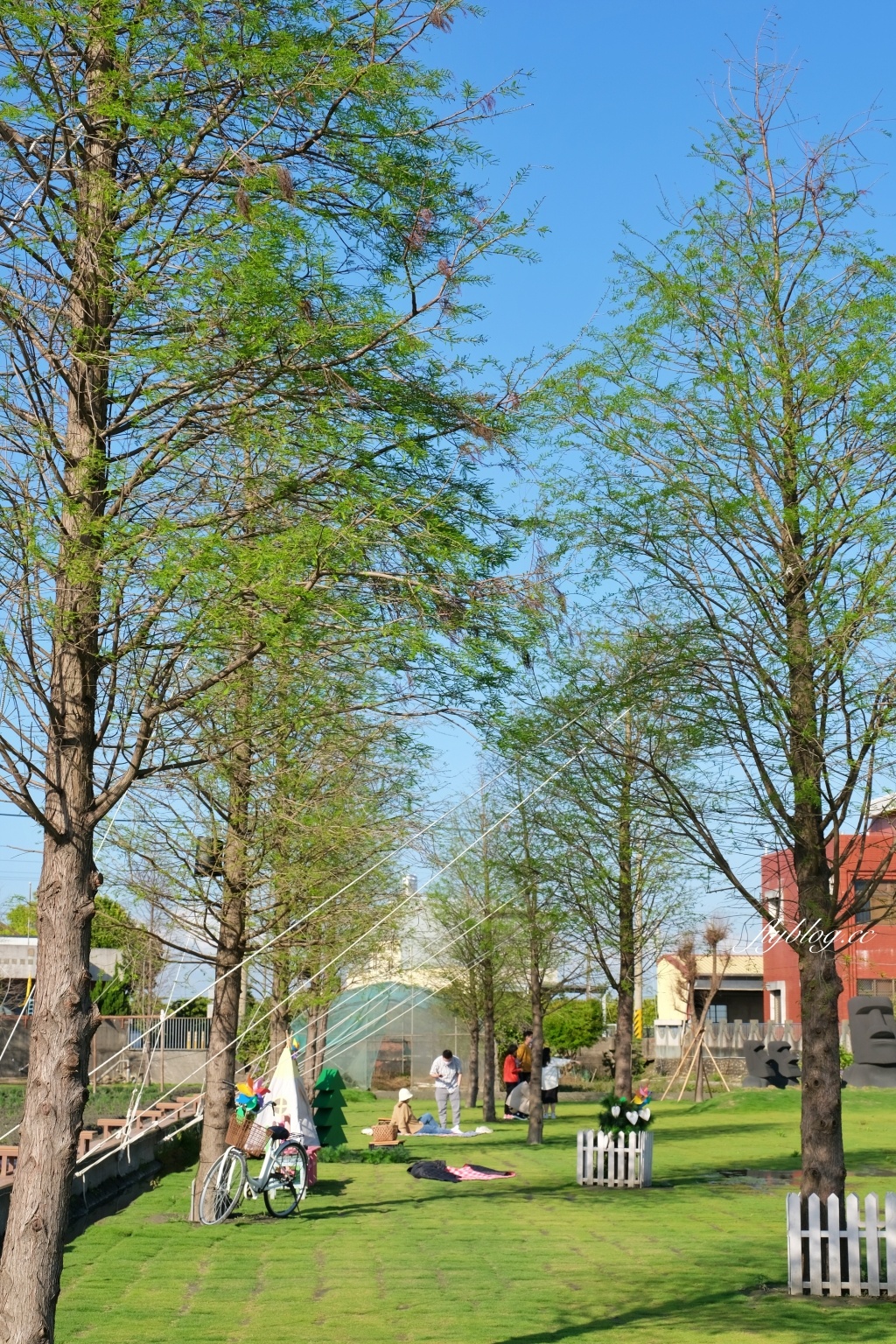 彰化田尾｜董家花園，充滿四季繽紛色彩的花田，田尾親子野餐郊遊好去處 @飛天璇的口袋