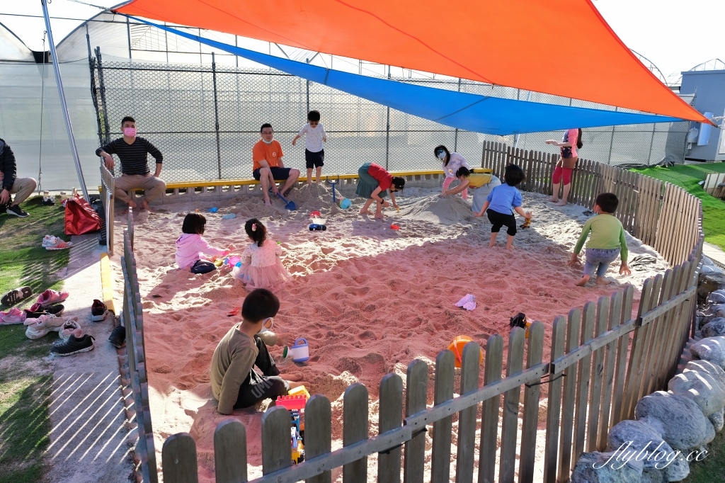 彰化田尾｜董家花園，充滿四季繽紛色彩的花田，田尾親子野餐郊遊好去處 @飛天璇的口袋