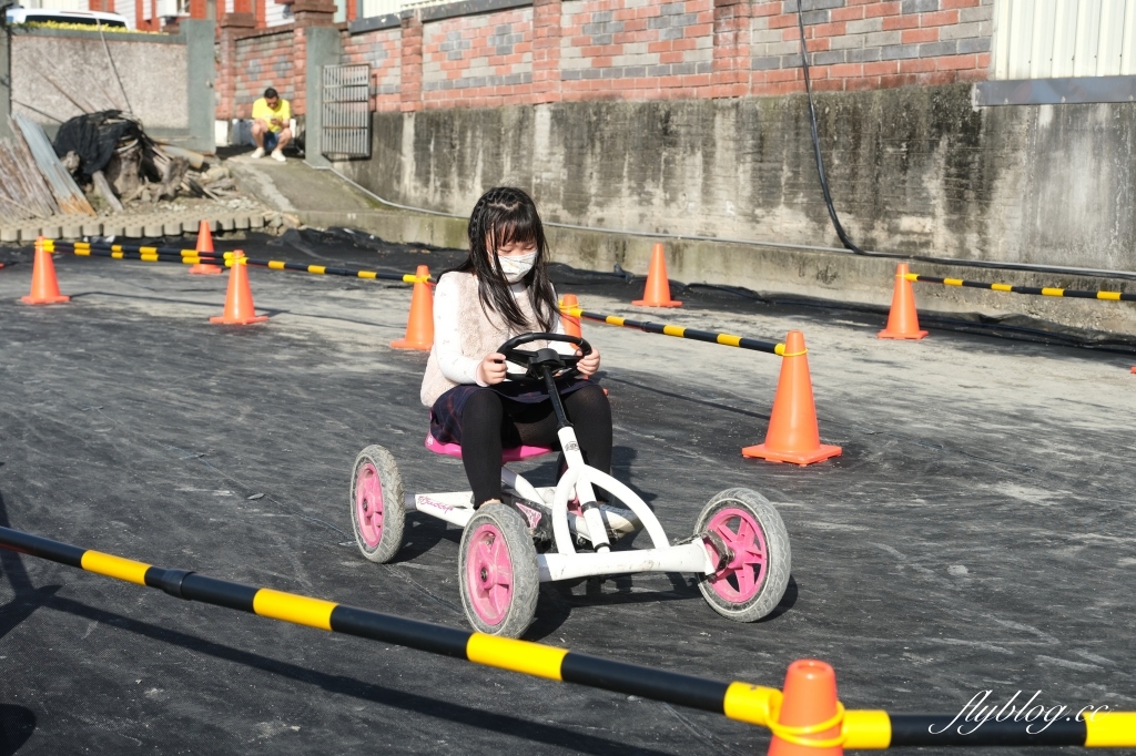 彰化田尾｜董家花園，充滿四季繽紛色彩的花田，田尾親子野餐郊遊好去處 @飛天璇的口袋