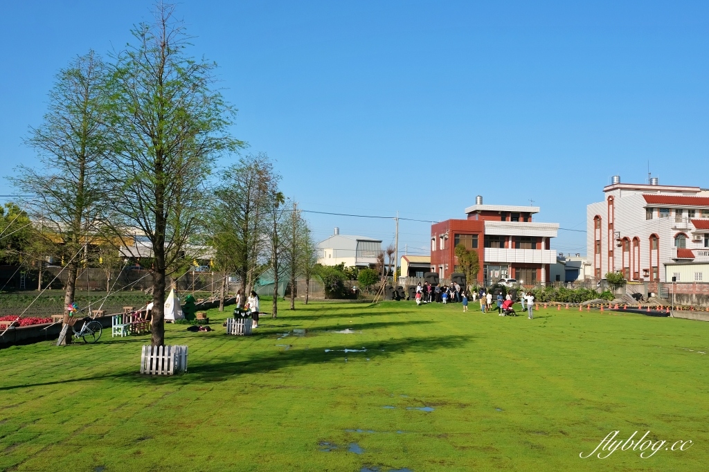 彰化田尾｜董家花園，充滿四季繽紛色彩的花田，田尾親子野餐郊遊好去處 @飛天璇的口袋