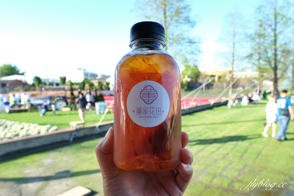 彰化田尾｜董家花園，充滿四季繽紛色彩的花田，田尾親子野餐郊遊好去處 @飛天璇的口袋